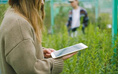 Blossoming Online: SEO Tips for Flower Growers