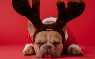 Unleashing Holiday Magic: Digital Marketing Strategies for Hoteliers’ Holiday Events