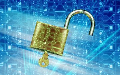 Confused by Cookie Chaos? Here’s How to Keep Your Virginia Business Safe (and Compliant)