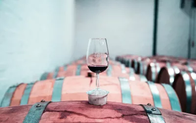 SEO for Virginia Wineries: Help More Wine Lovers Find You